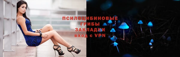 трава Елабуга