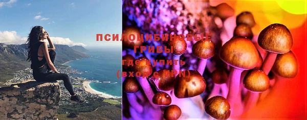 бутират Елизово