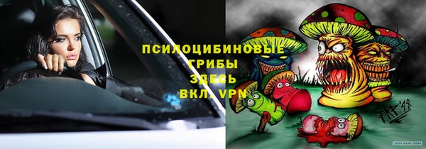 трава Елабуга